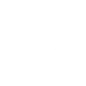 Icon representing Paratus's "Engineered for Excellence" status.